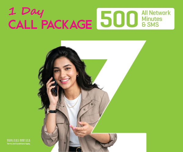 1 Day Voice Offer
